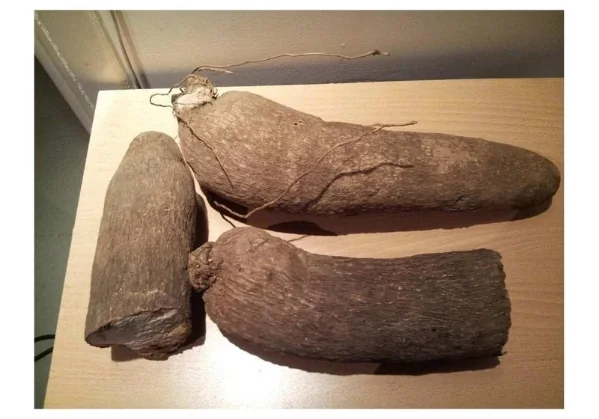 Afrikanische Reife & Frische Kokosnüsse & Westafrikanische Puna-Yamswurzeln