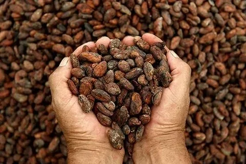 African Commodities - 2