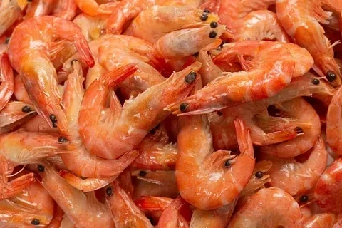 Atum, Camarão & Pescado - 2