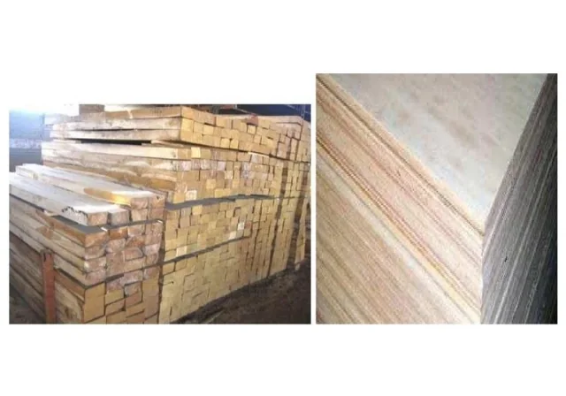 Rubber, Timber & Plywood - 2