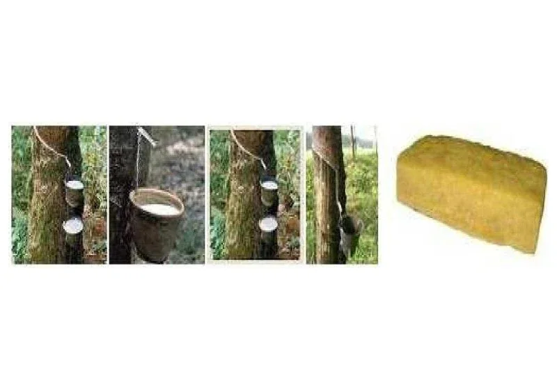 Naturkautschuk (TSR-10/20 & RSS), Tropisches Hartholz & Sperrholzplatten
